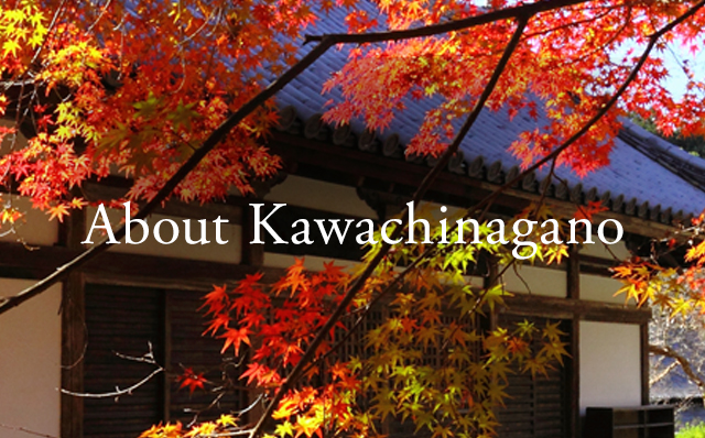 About Kawachinagano