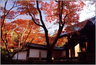 Enmeiji Temple