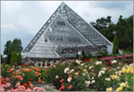 Osaka Prefectural Flower Garden