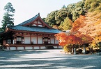 献茶祭（観心寺）