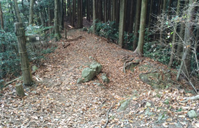 カキザコ分岐