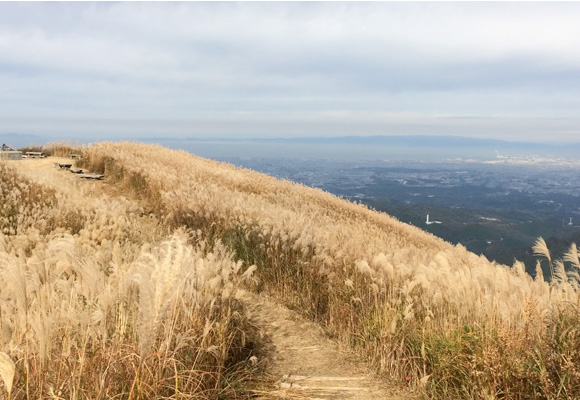 河内長野市のダイトレの山