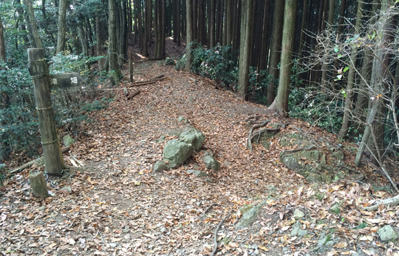 カキザコ分岐