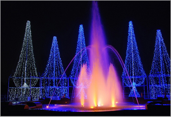 寺ヶ池公園 クリスマスイルミネーション