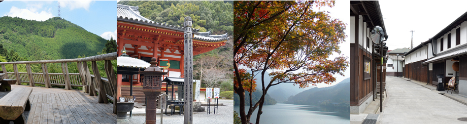 旅游 古迹高野街道，观心寺和天野山金刚寺等历史建筑，丰富自然的金刚山，岩湧山，滝畑四十八瀑布等。