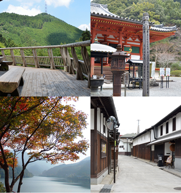 旅游 古迹高野街道，观心寺和天野山金刚寺等历史建筑，丰富自然的金刚山，岩湧山，滝畑四十八瀑布等。